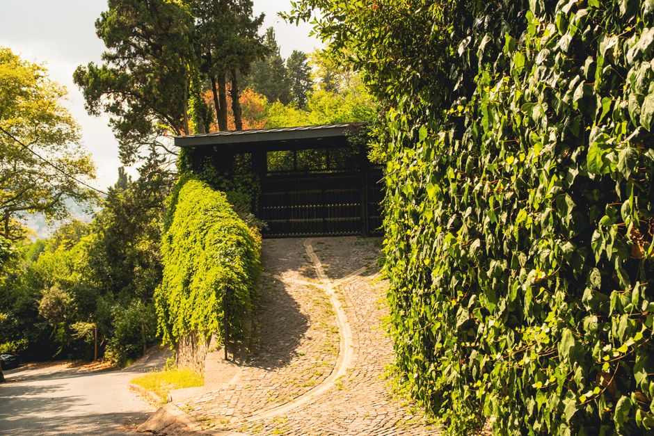 Peaceful outdoor setting with vibrant greenery and cobblestone path.