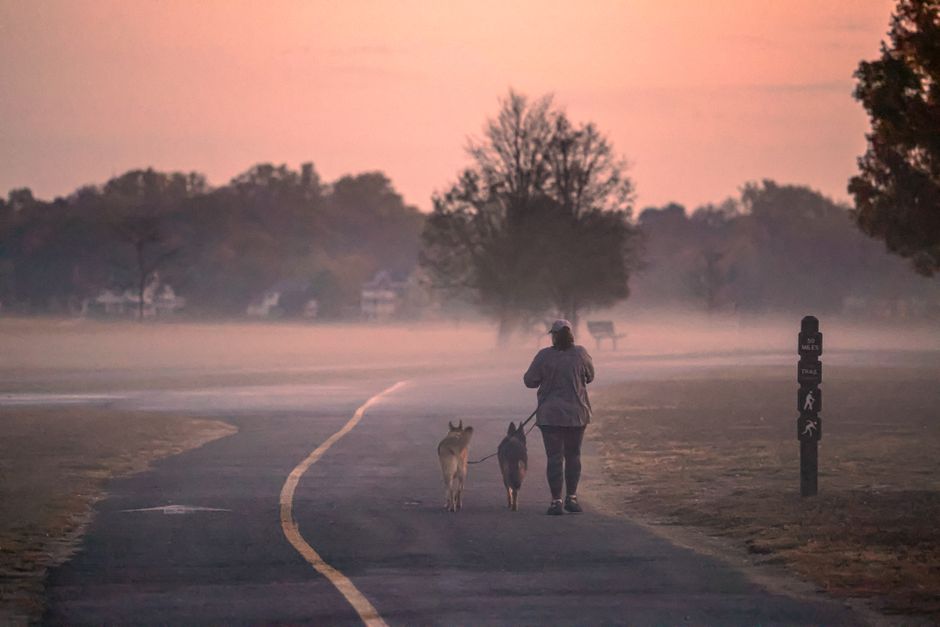 A person walks two dogs through misty Cove Island Park in Stamford, capturing the serene fall morning.