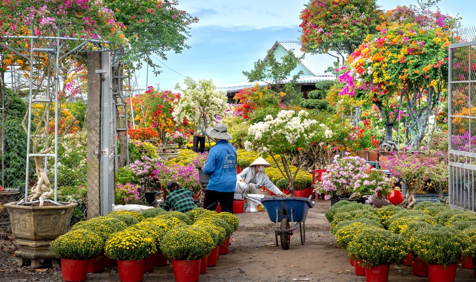 Colorful garden with people tending to flowers and plants, outdoors.