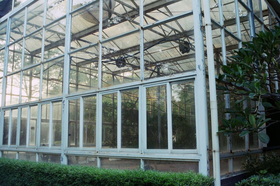 Glass greenhouse exterior surrounded by lush greenery in daylight.