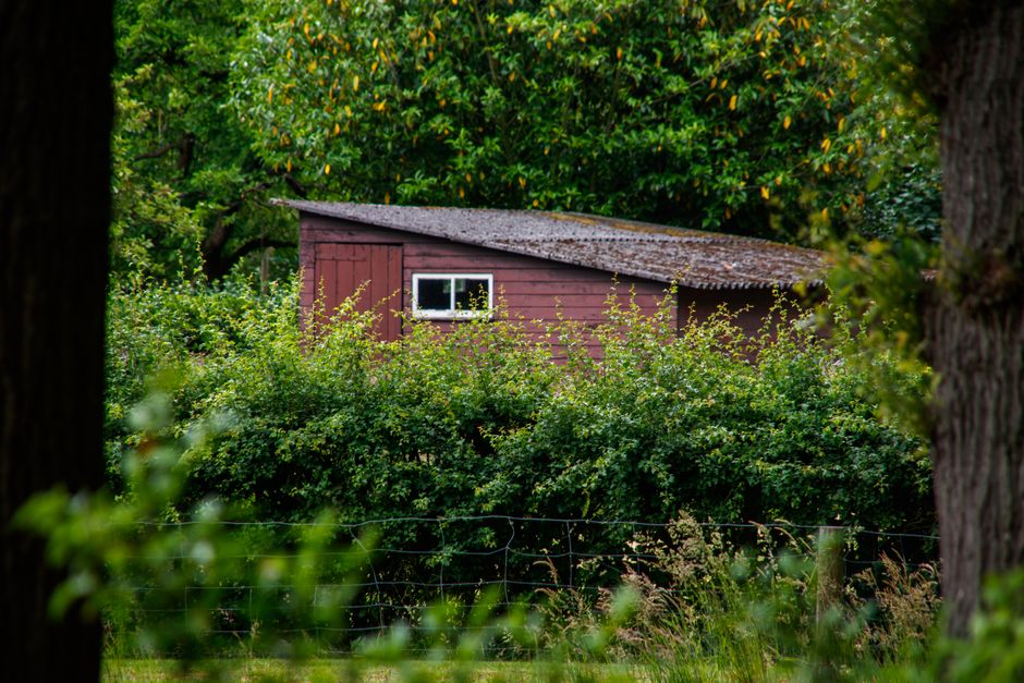 A rustic wooden shed nestled amidst dense green foliage, creating a serene outdoor scene.