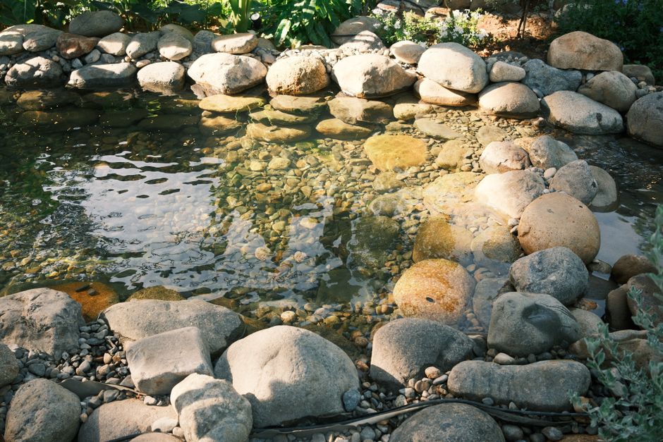Serene rock pond with clear water reflecting sunlight in a peaceful garden setting.