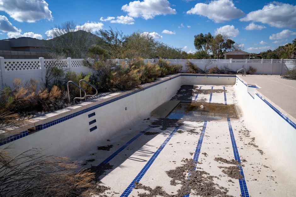 An abandoned pool in an Arizona backyard with plants and clear blue sky.