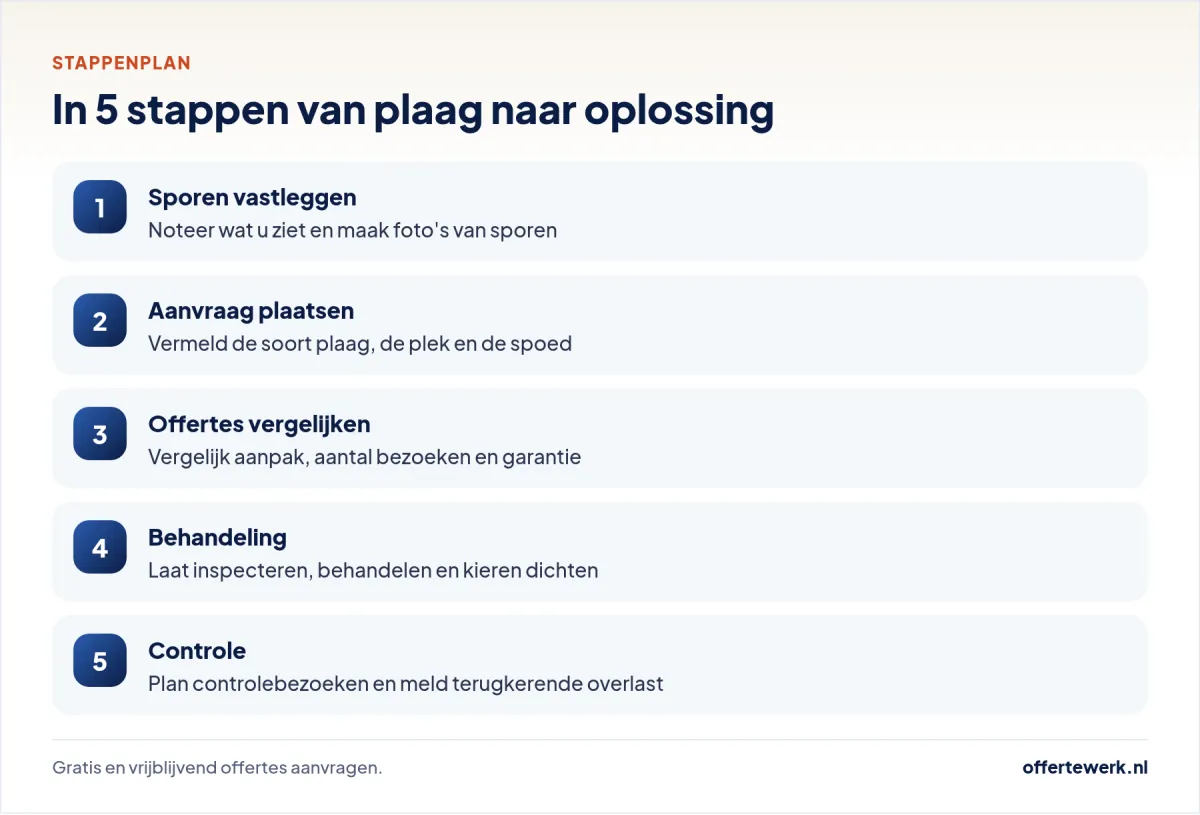 Stappenplan ongediertebestrijding offerte: van gratis aanvraag tot behandeling en controle